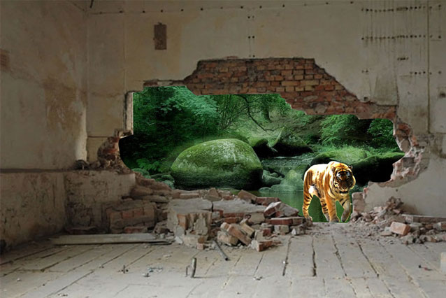 Web designing gurgaon, Grpaphic Designer Gurgaon, Web design company india, indian web design agency, Web design india, website design